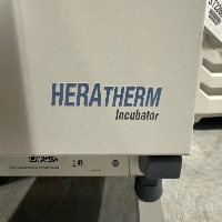 Thermo Heratherm Incubator image 0